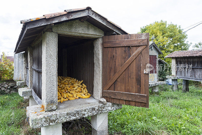 Horreo在西班牙加利西亚的Trasalba Ourense镇储存玉米